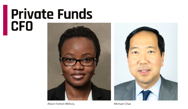 Private Funds CFO How Blackstone does ESG