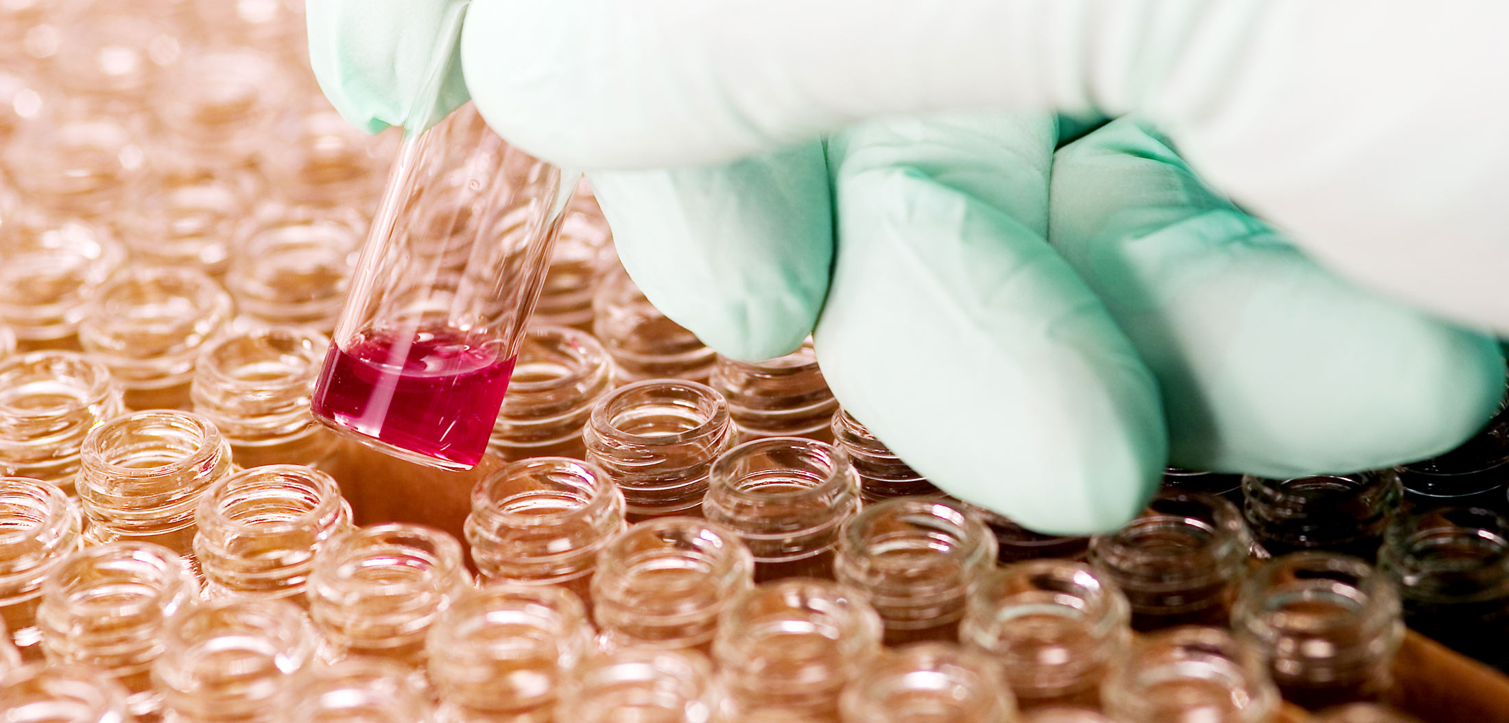 Life Sciences Blackstone