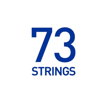 73 strings logo