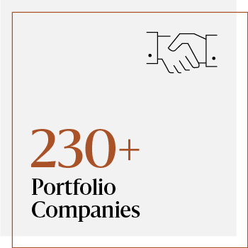 Infographic that reads "230+ portfolio companies"
