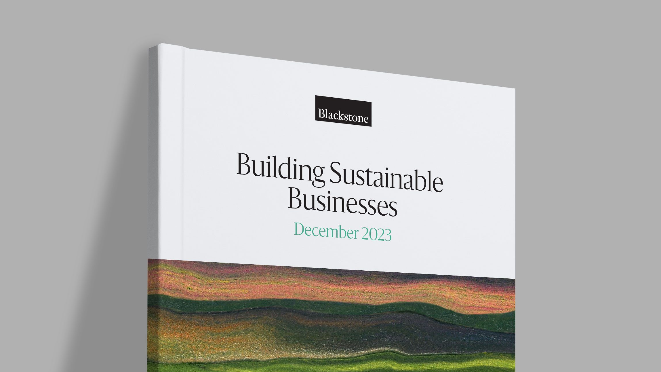 Cover of Blackstone's "Building Sustainable Businesses" report, 2023