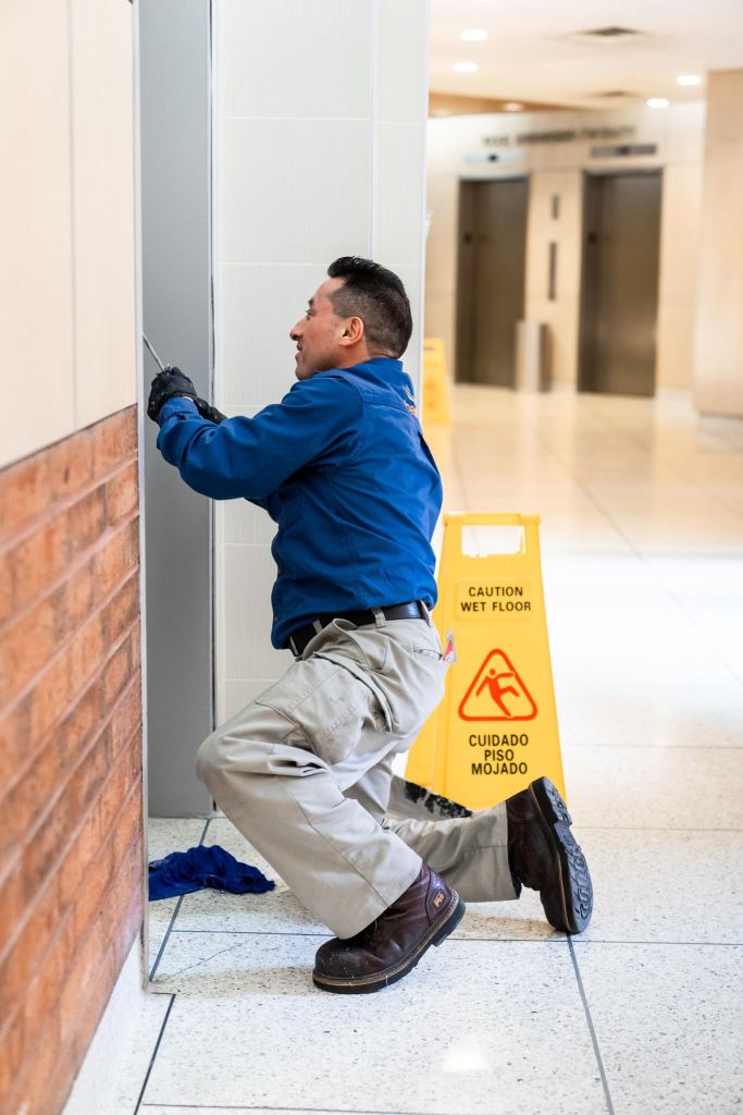 Property Maintenance